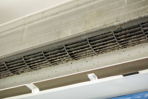 Best Emergency Air Duct Cleaning  in Oli, PA